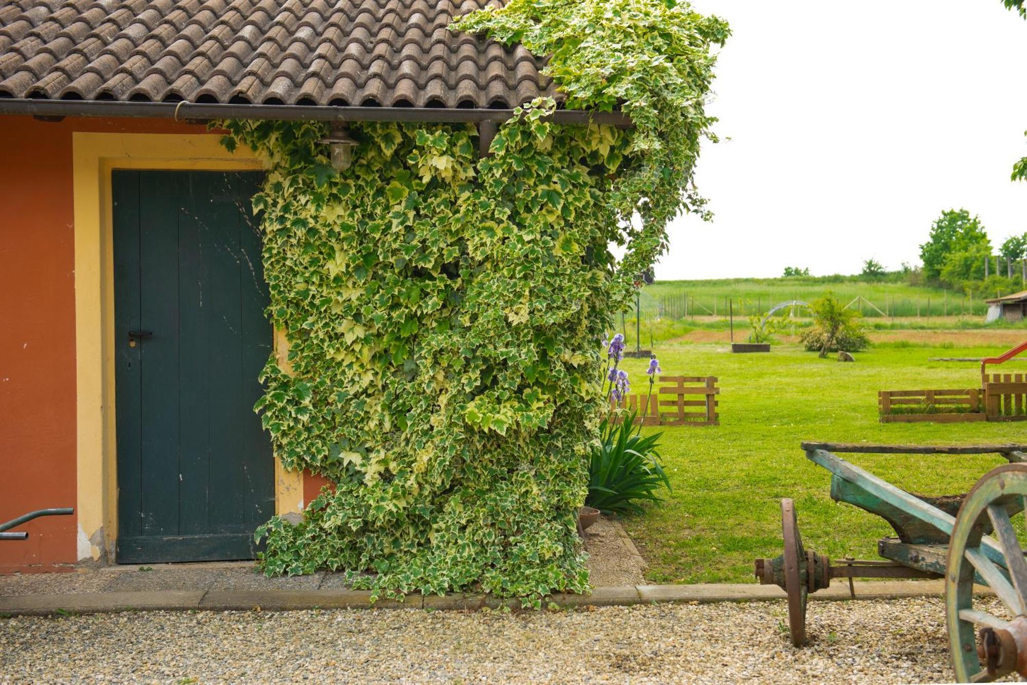 Country House Cascina Orto Pasturana Eksteriør bilde
